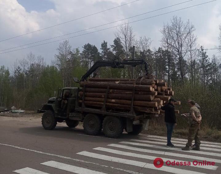 На Житомирщине одесские нацгвардейцы задержали лесоруба-нарушителя