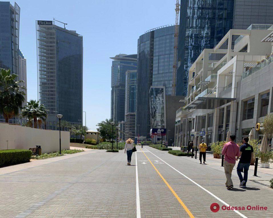 Карантин в Дубае: комендантский час, дезинфекция улиц, «мода» на прогулки с собаками и напоминания по телефону