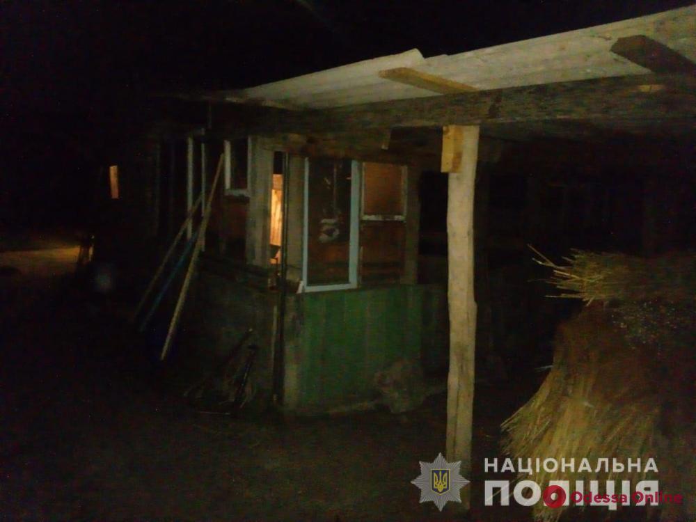 В Одесской области пьяные горе-воры потеряли украденных поросят