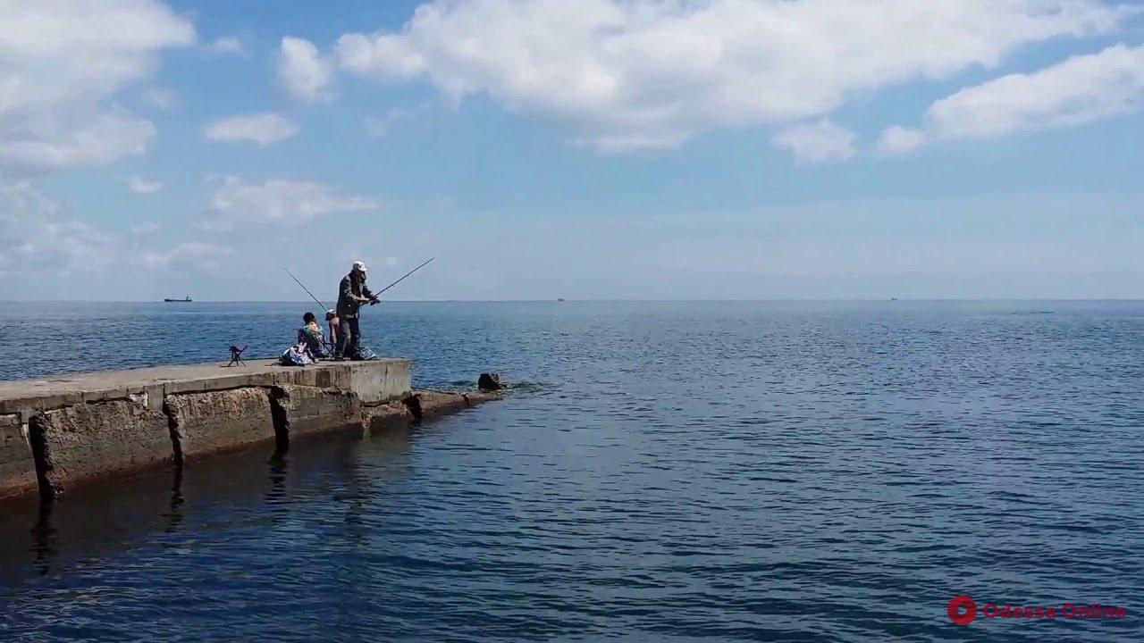 В Одессе копы спасли упавшего с пирса рыбака (видео)