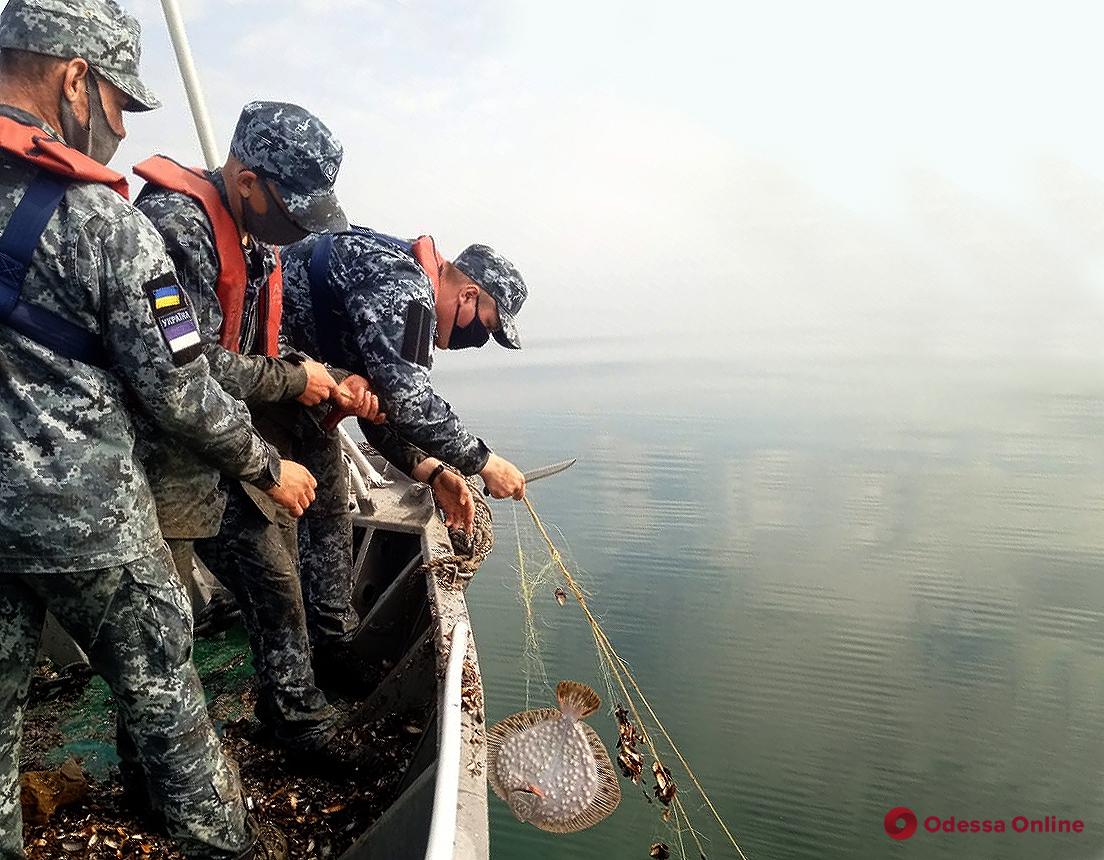 Пограничники Одесского отряда морской охраны обнаружили километровую браконьерскую ловушку с «морскими пленниками»