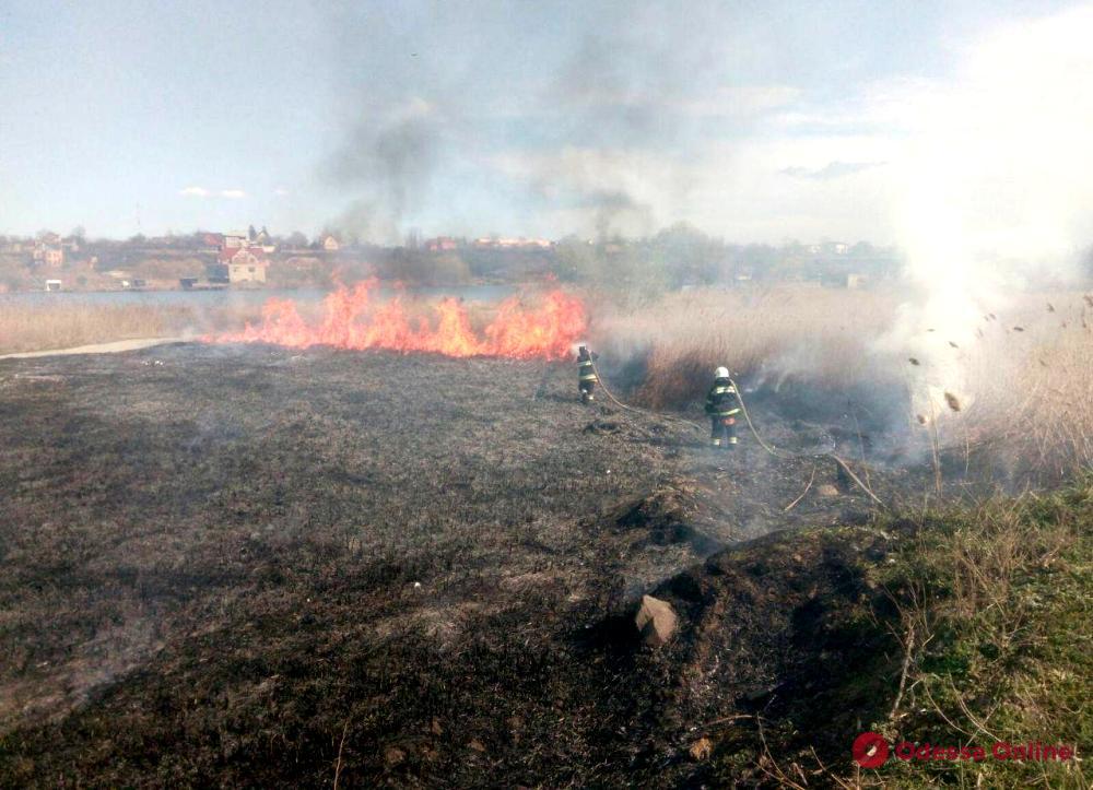 На территории национального парка в Одесской области с утра тушат пожар