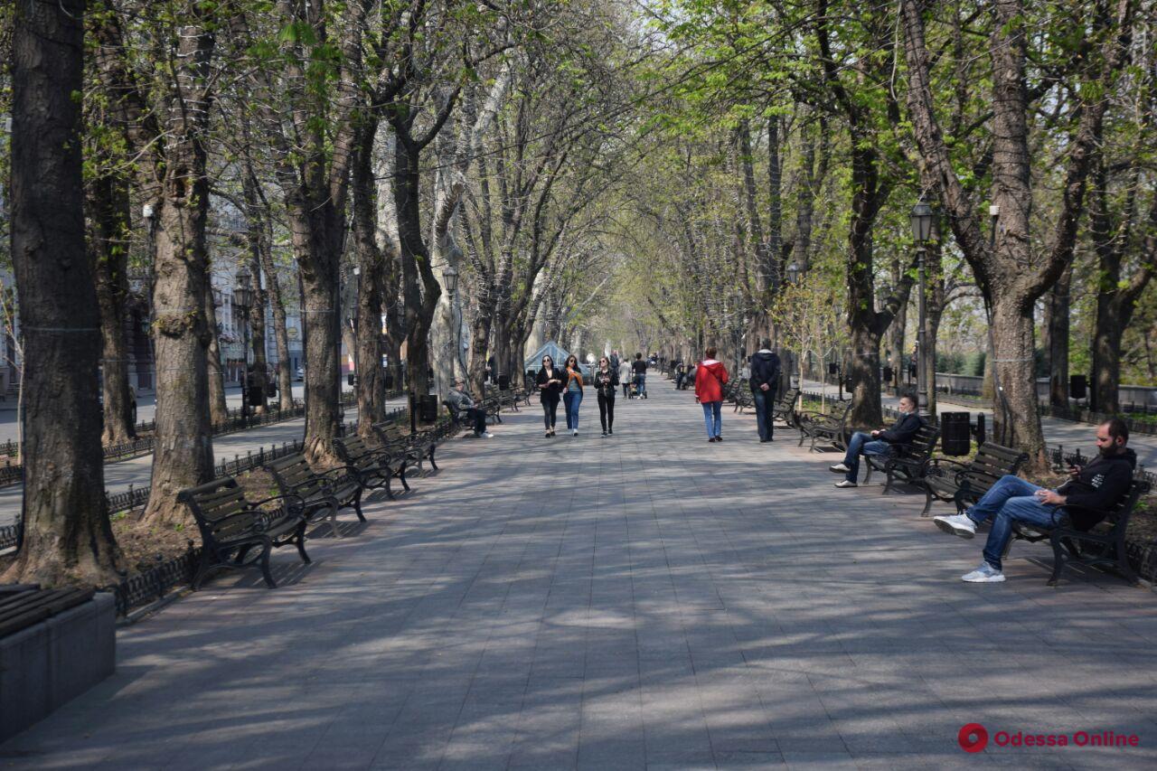 «Одесса в онлайне» для тех, кто дома: прогулка по Приморскому бульвару и Стамбульскому парку