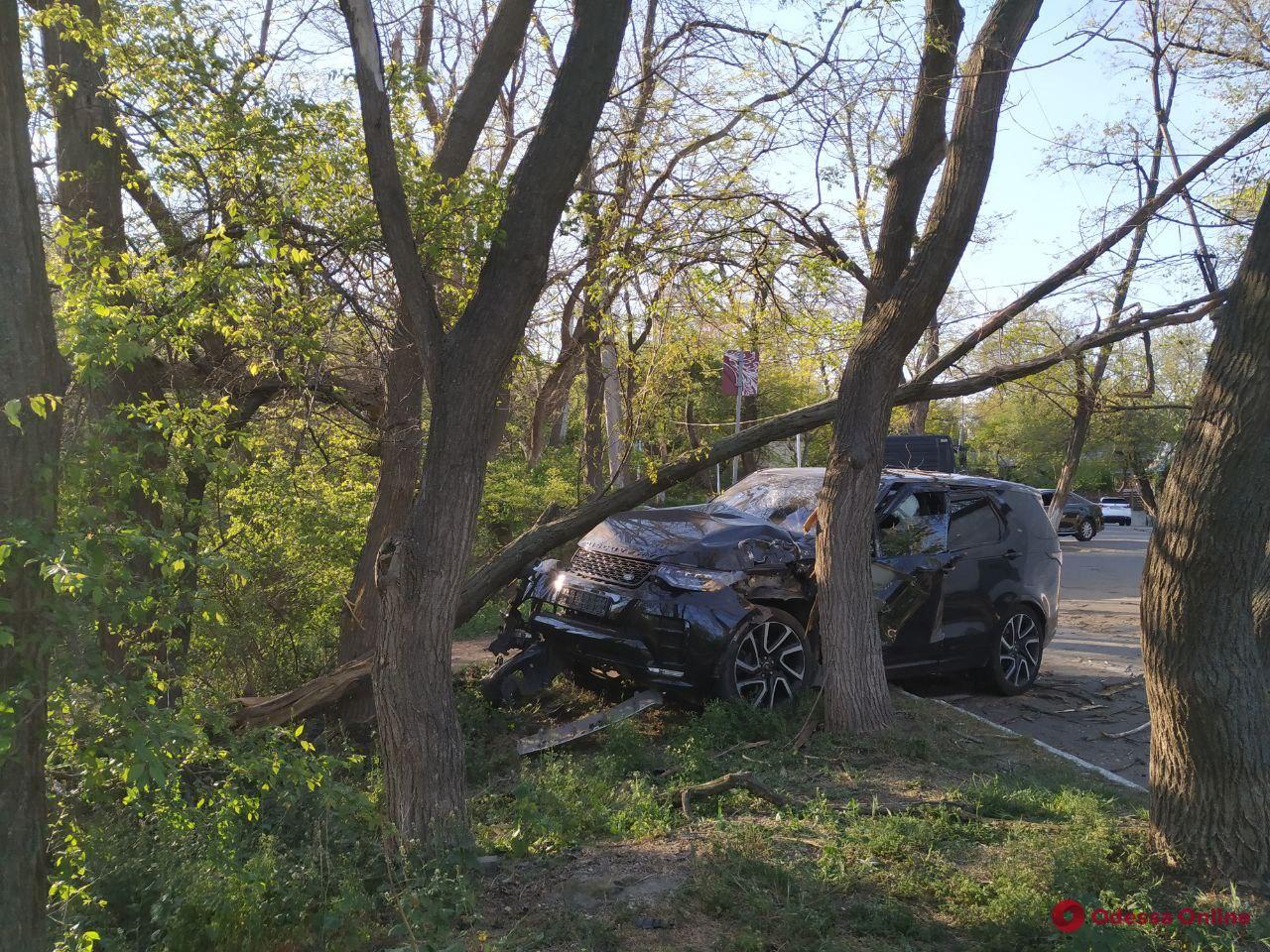 В Одессе возле «Глечика» внедорожник врезался в дерево (фото)