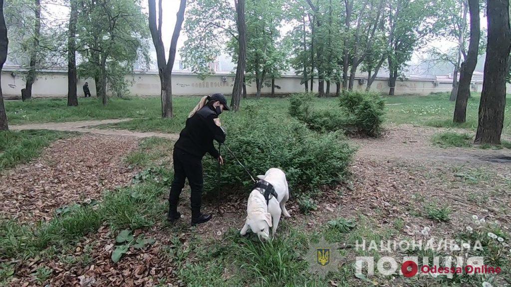 Сегодня в Одессе за общественным порядком следят более полутора тысяч правоохранителей