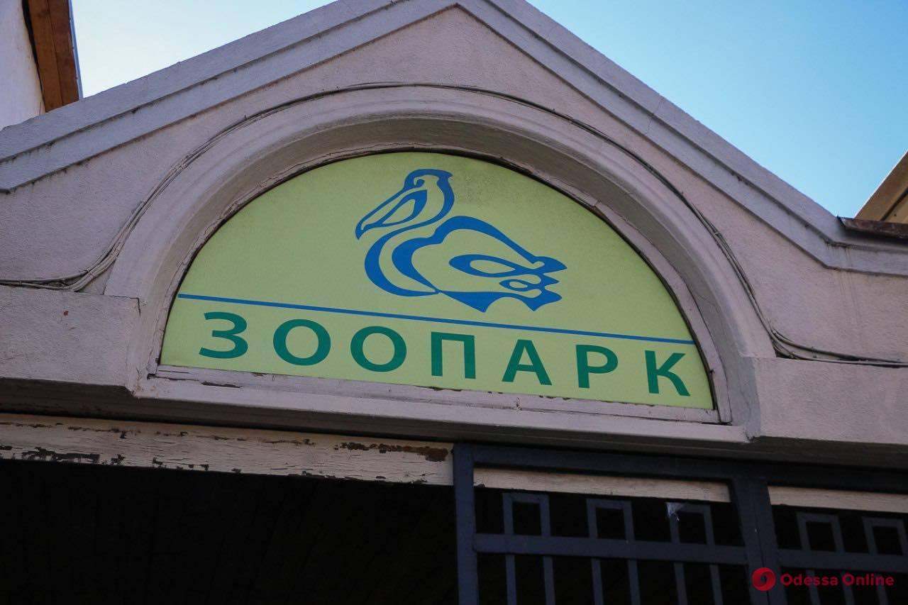 Одесский зоопарк готовится к открытию после карантина