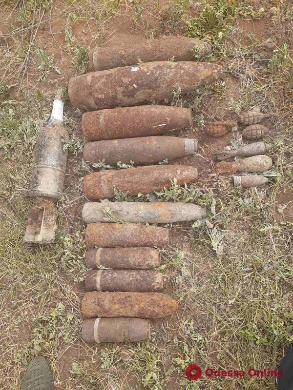 Жители Одесской области нашли возле полигона почти два десятка боеприпасов времен Второй мировой