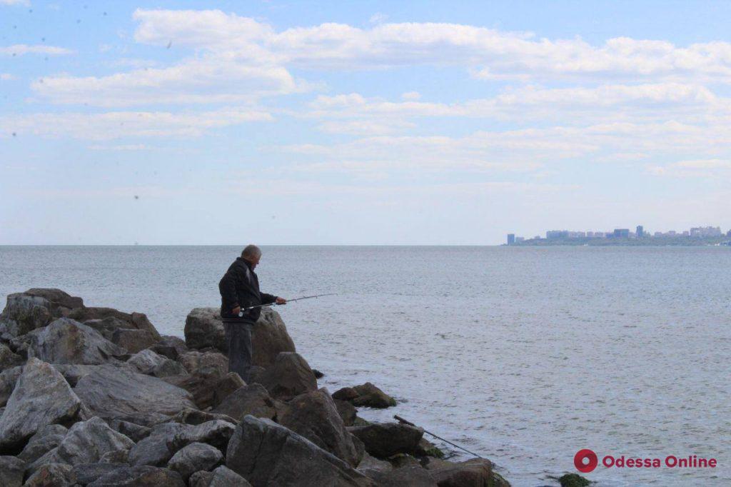 Умиротворяющая прогулка вдоль побережья в Крыжановке (фоторепортаж)