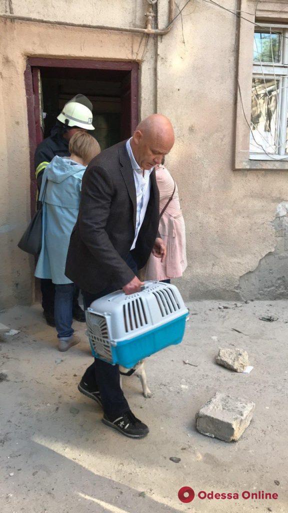 Мэр Одессы эвакуировал из разрушенного дома кота Персика