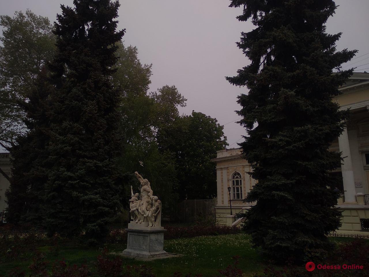 Завтра в Одессе ожидается туман
