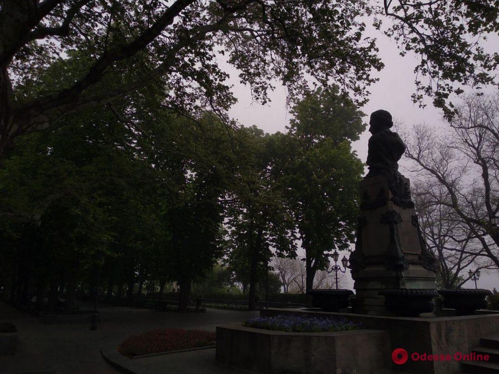 Туманный вечер в Южной Пальмире (фоторепортаж)