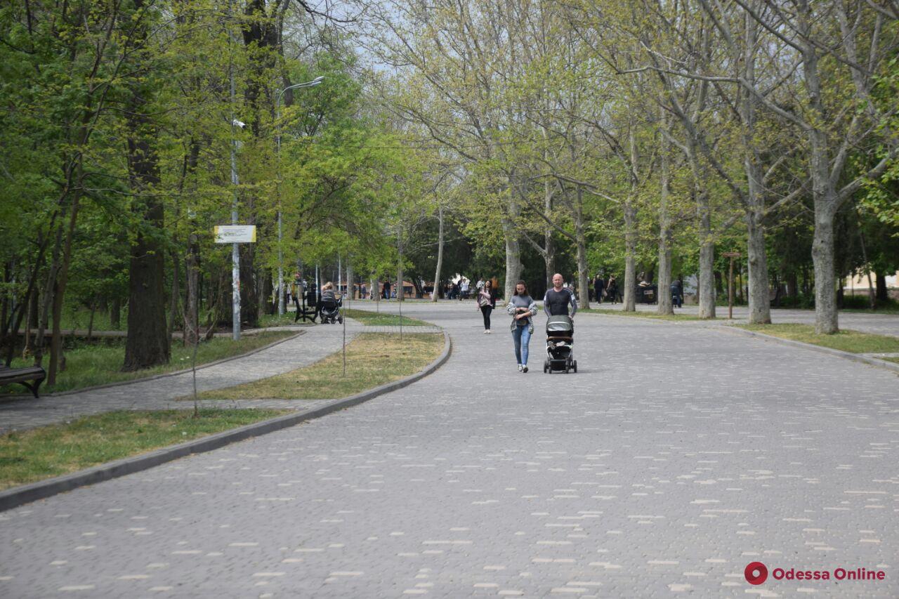 «Одесса в онлайне» для тех, кто дома: прогулка по парку Шевченко