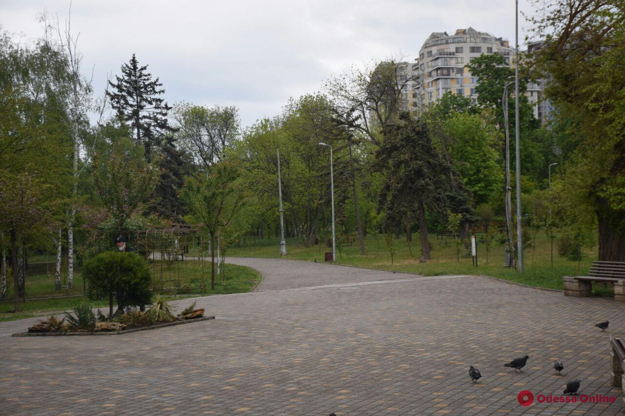 «Одесса в онлайне» для тех, кто дома: прогулка по парку Победы