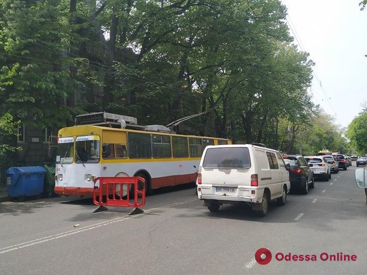 На Успенской крупная ветка рухнула на дорогу — парализовано движение троллейбусов (фото, обновлено)