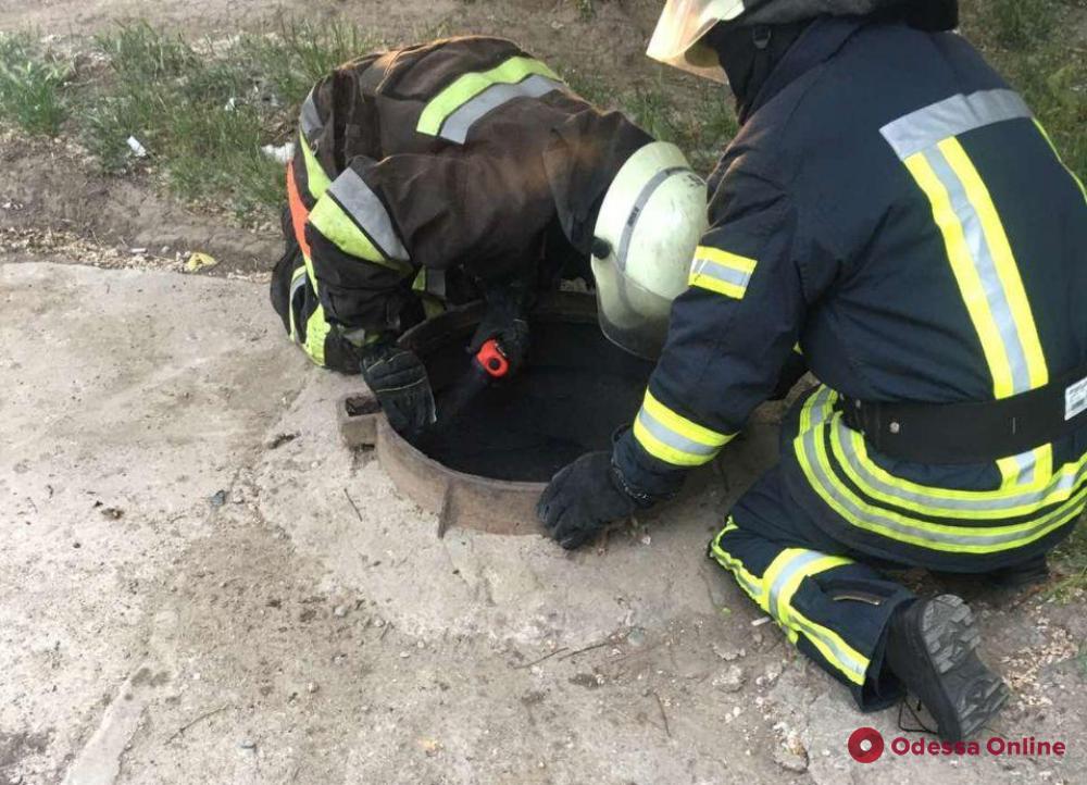 На Таирова пожарные ликвидировали возгорание в люке теплосети и спасли бездомную (фото)