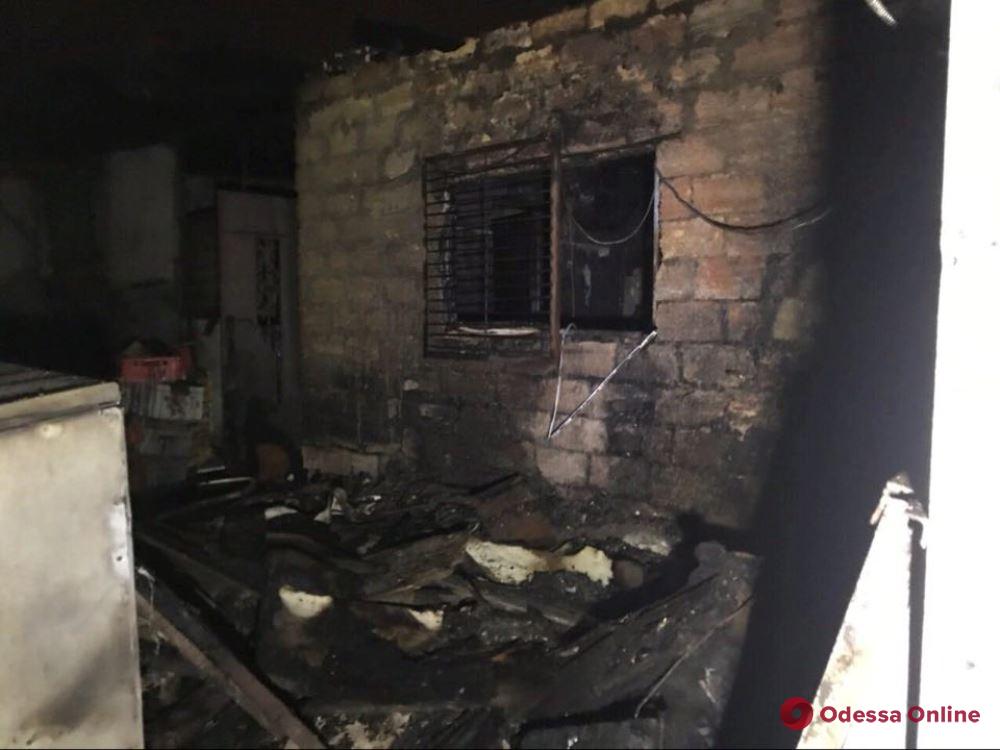 Во время пожара в одесском приюте «Ковчег» спасли 40 котов и 350 собак