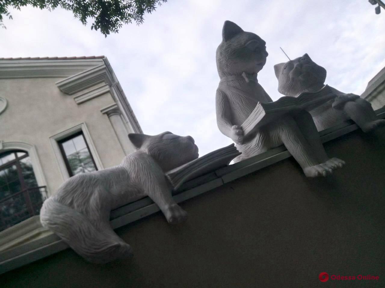 На Французском бульваре «поселились» читающие коты