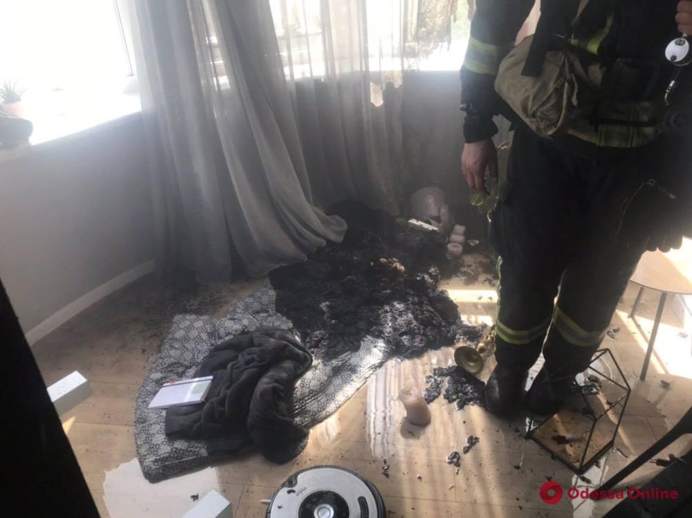 Из горящей квартиры одесские спасатели вынесли кота и декоративную крысу