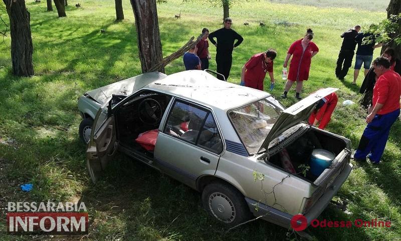 В Одесской области автоледи слетела в кювет и врезалась в дерево