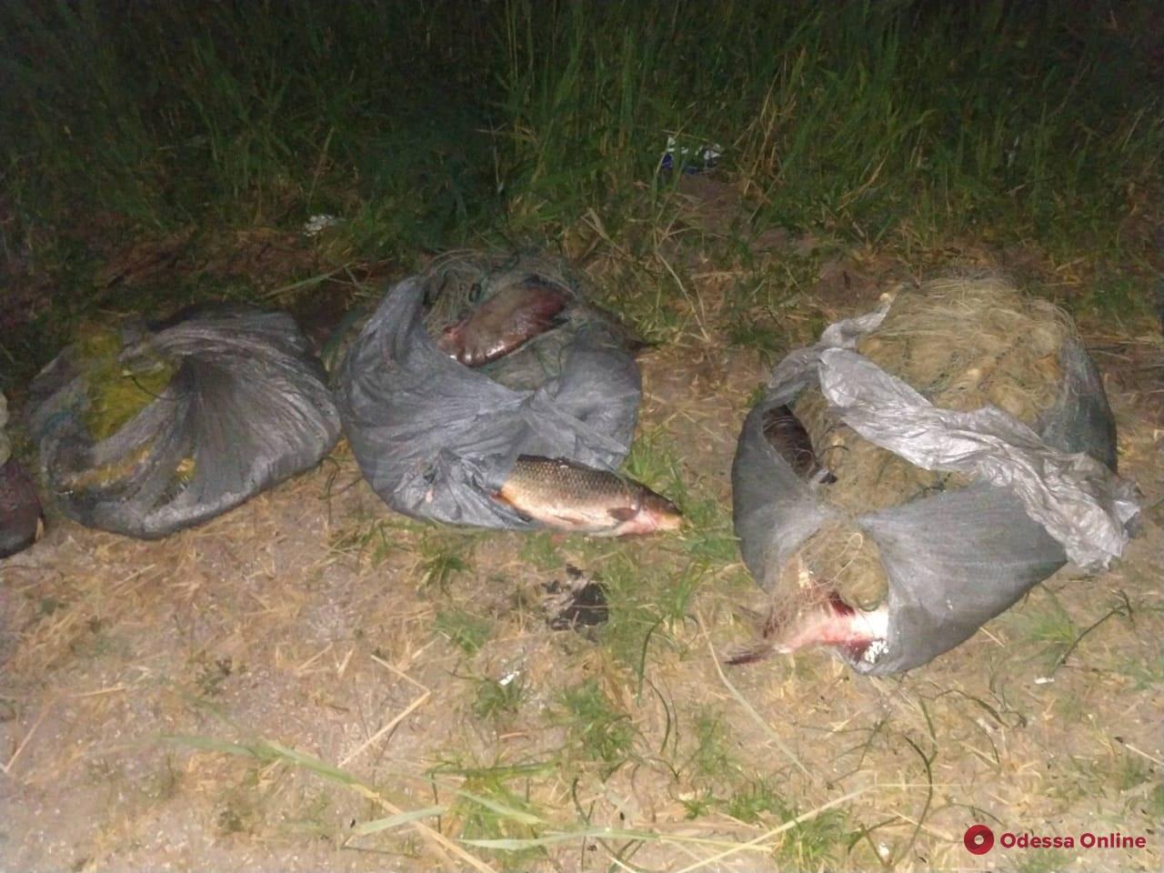 В Одесской области автомобиль с браконьерами сбил пограничника