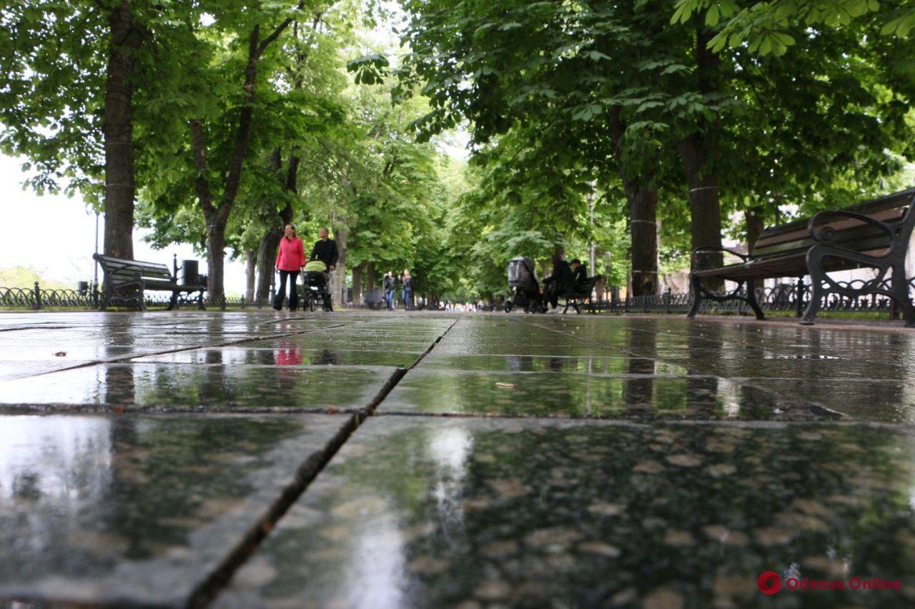 Июнь в Одессе: нелетняя прохлада и грибной дождик (фоторепортаж)