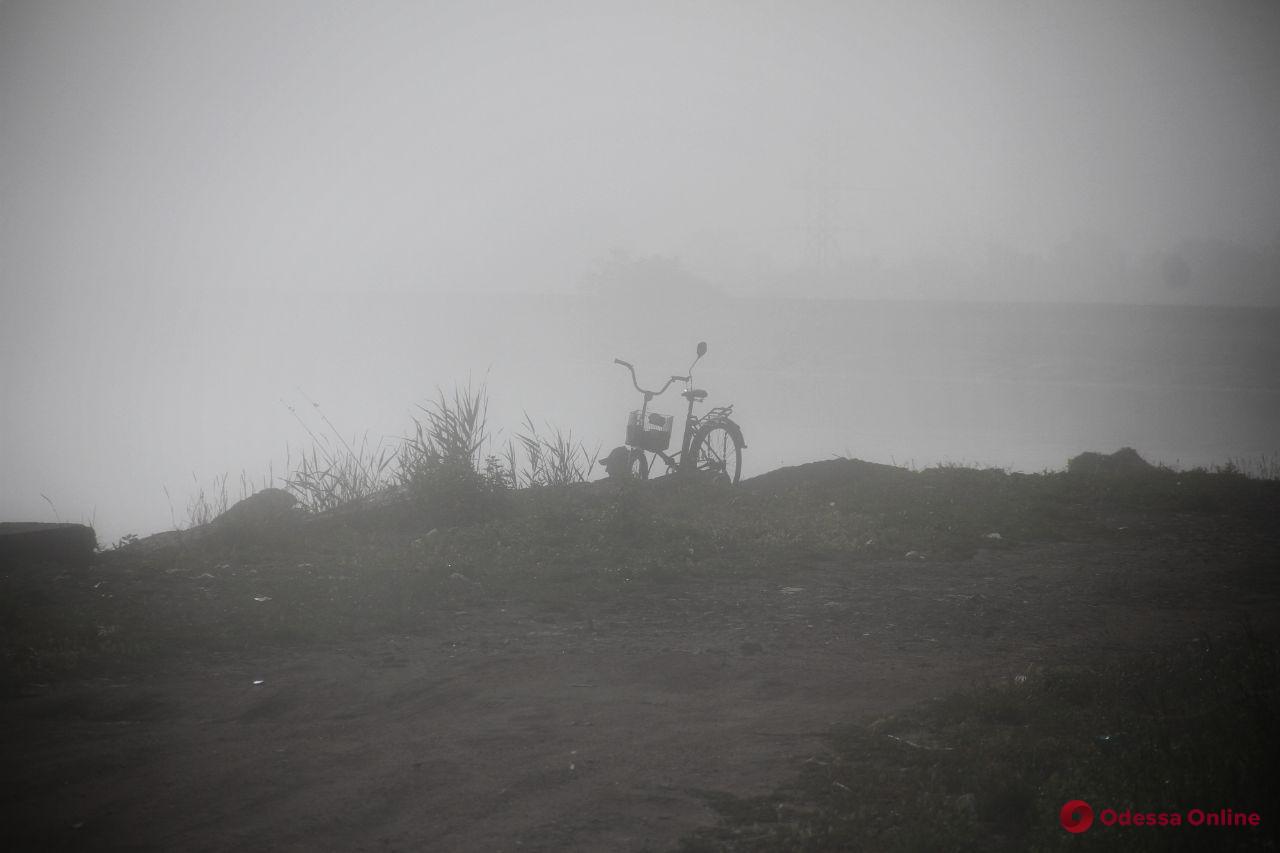 Змеи, птицы и лягушки: туманное утро на Хаджибейском лимане (фоторепортаж)