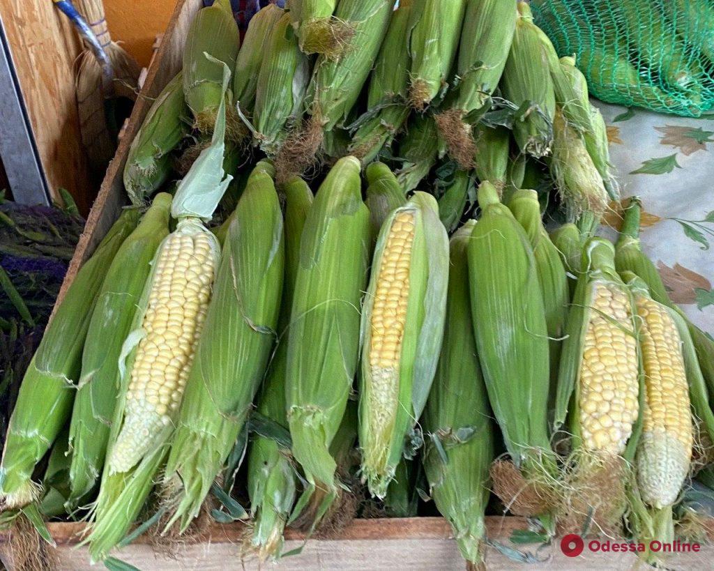 Кукуруза, вишня и цукини: актуальные цены на одесском «Привозе»