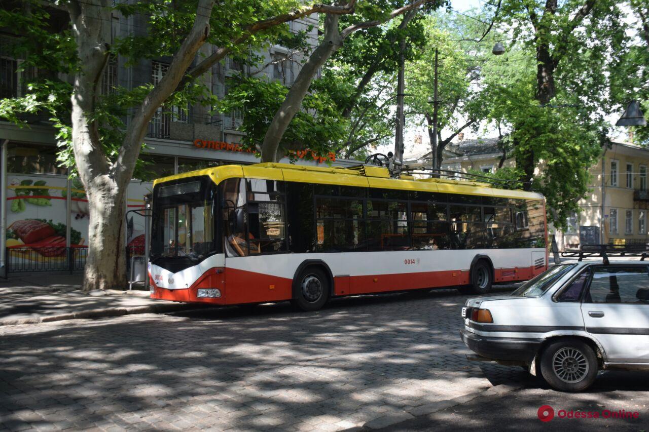 В центре Одессы из-за упавшей на провода ветки не ходят троллейбусы