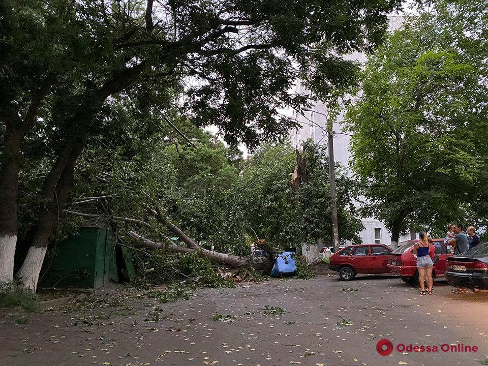 В центре Одессы из-за шквального ветра падают деревья (фото, обновляется)