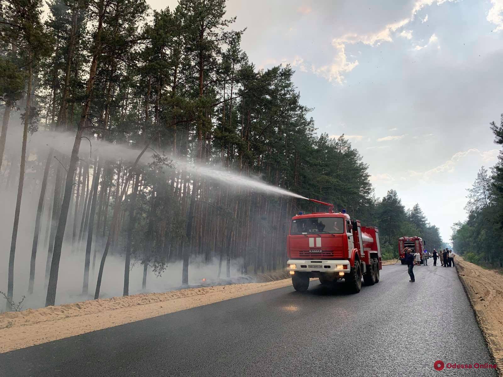 Масштабный лесной пожар в Луганской области уничтожил 110 домов — один человек погиб