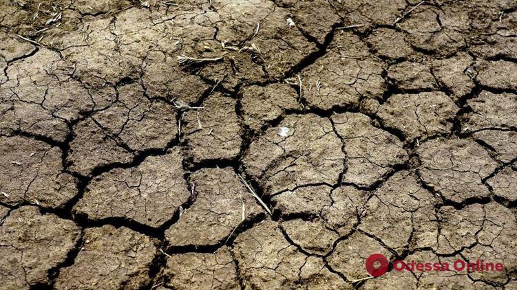 Ущерб аграриев Одесской области от засухи оценивается в 6,5 миллиарда, — Максим Куцый