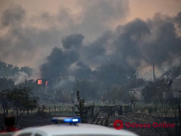 Ущерб от лесных пожаров в Луганской области оценивается более чем в 450 миллионов