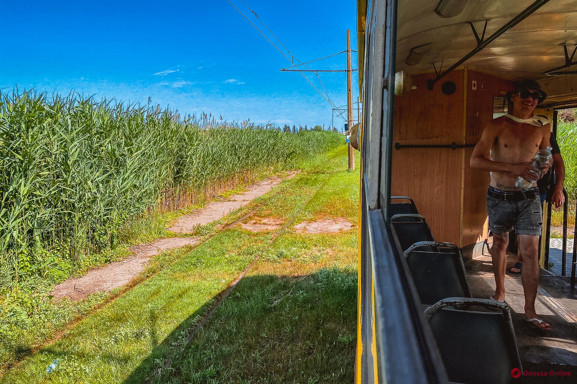 Один из самых интересных в мире трамвайных маршрутов – одесский «камышовый»