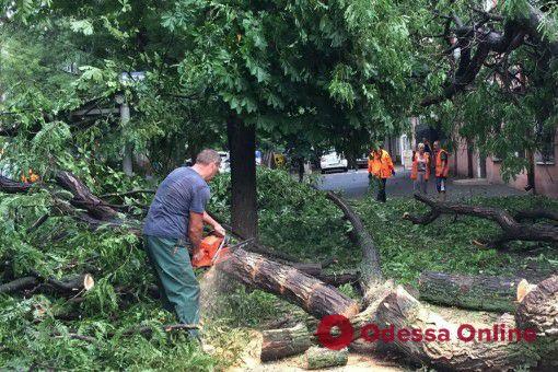 В Одессе коммунальщики ликвидируют последствия урагана