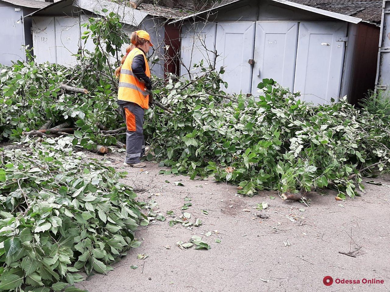В Одессе повалены более сотни деревьев