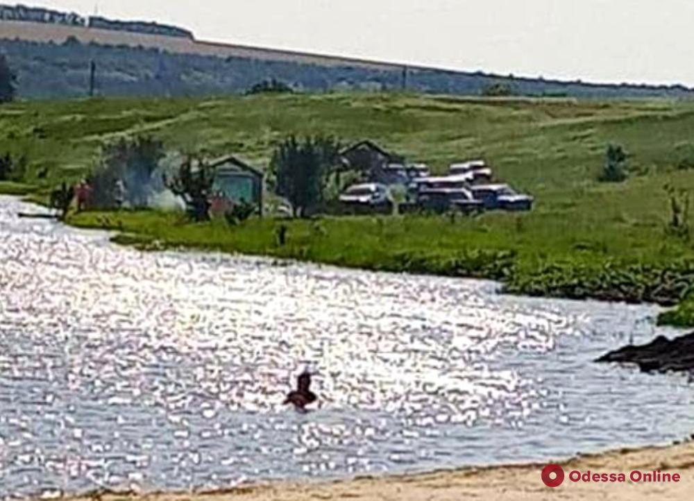 В Одесской области в реке утонул мужчина