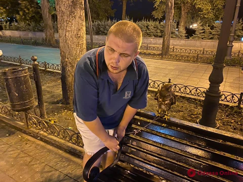 В Одессе активисты с полицией отобрали у уличного фотографа хищную птицу