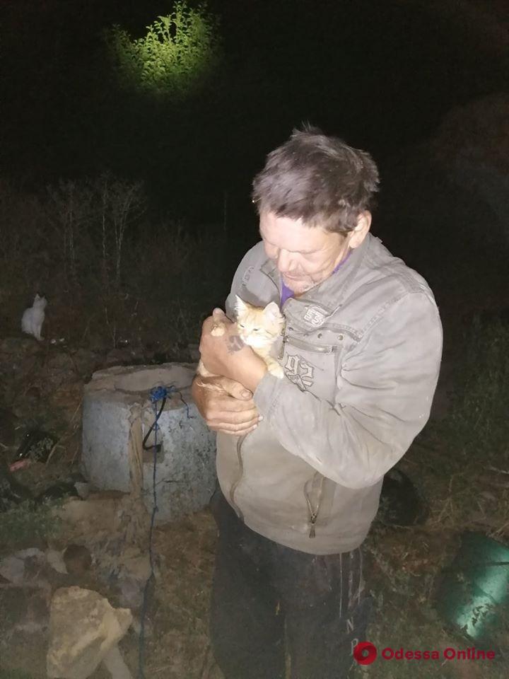 Под Одессой мужчина упал в колодец, спасая котенка