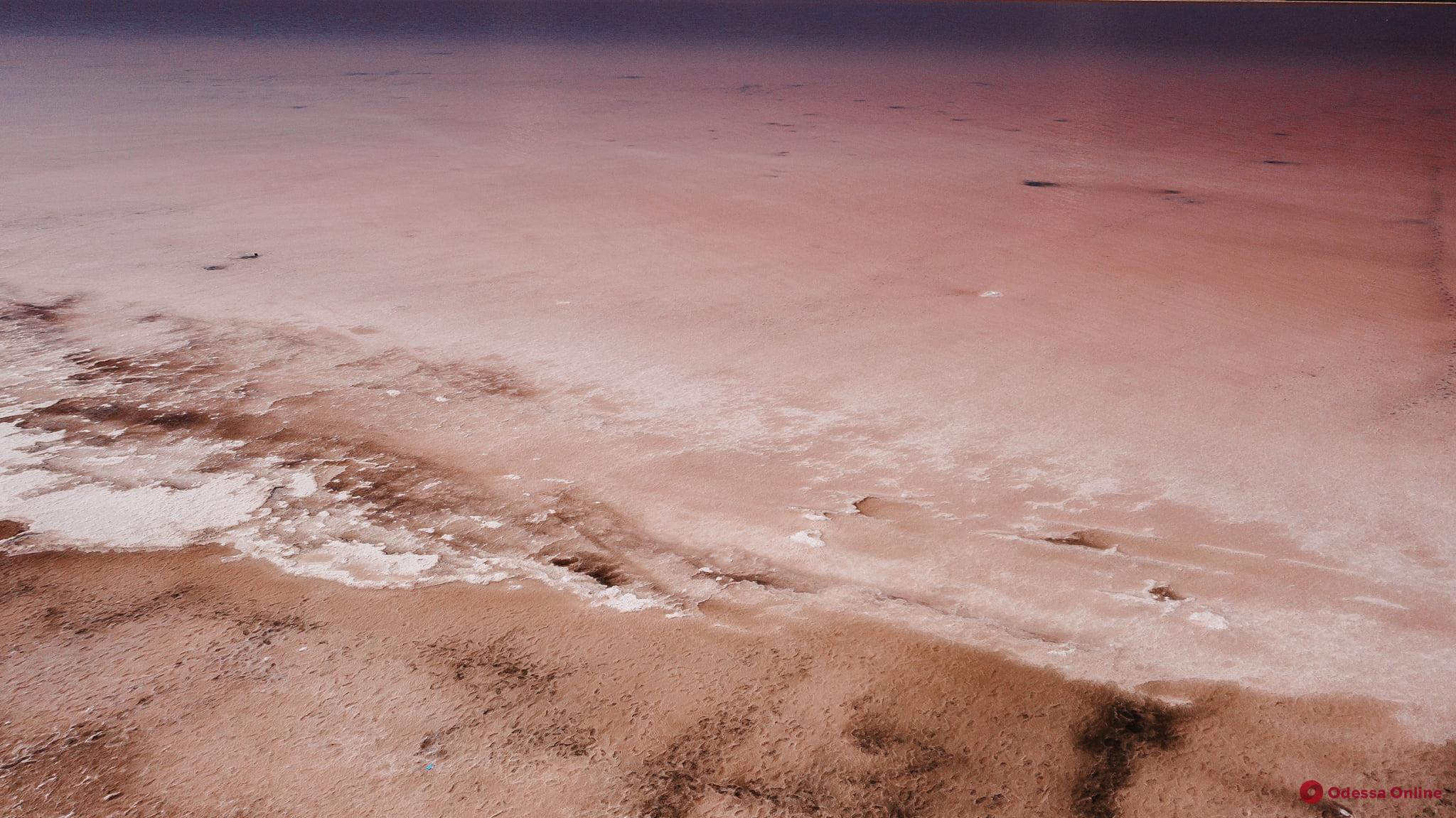 Куяльницький лиман убрався в червоно-рожевий колір (фото)