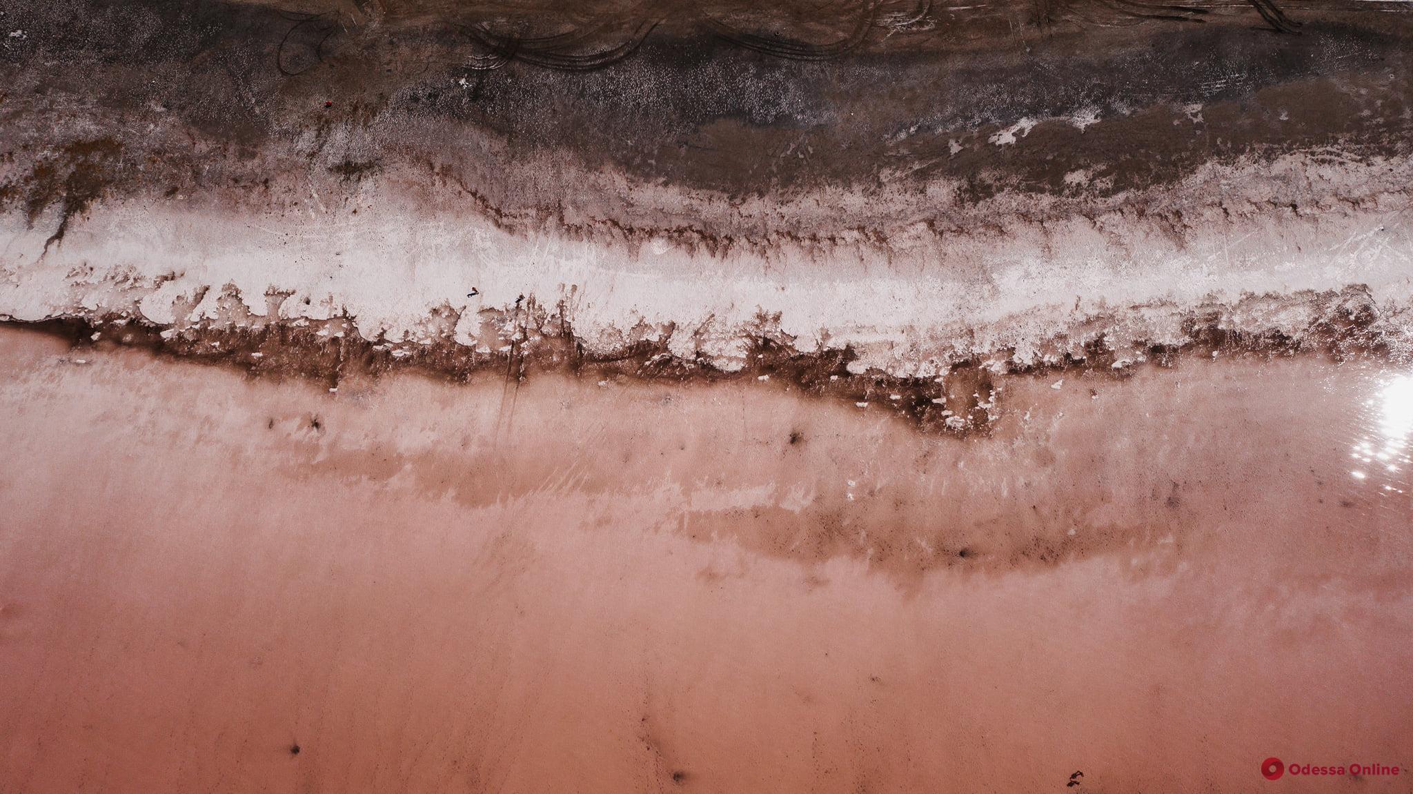 Куяльницький лиман убрався в червоно-рожевий колір (фото)