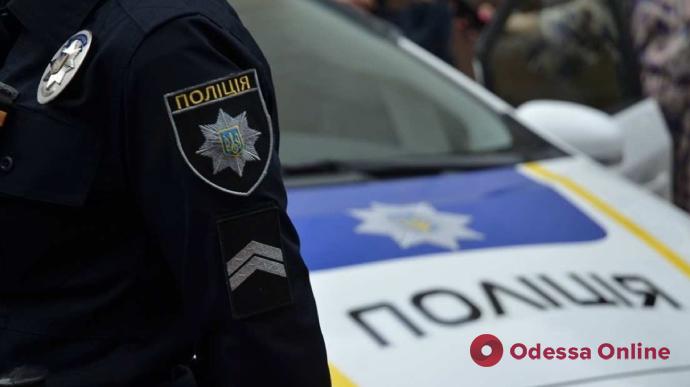 В Одесской области полицейские поймали двух воров