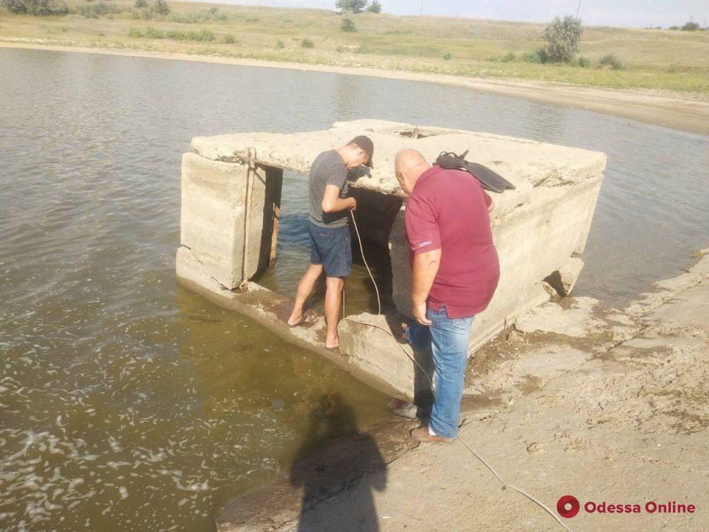 Пропавший в Одесской области 8-летний мальчик утонул в пруду