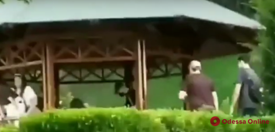 Облили зеленкой и разбили гитару: в одесском парке хулиганы напали на компанию подростков (видео)