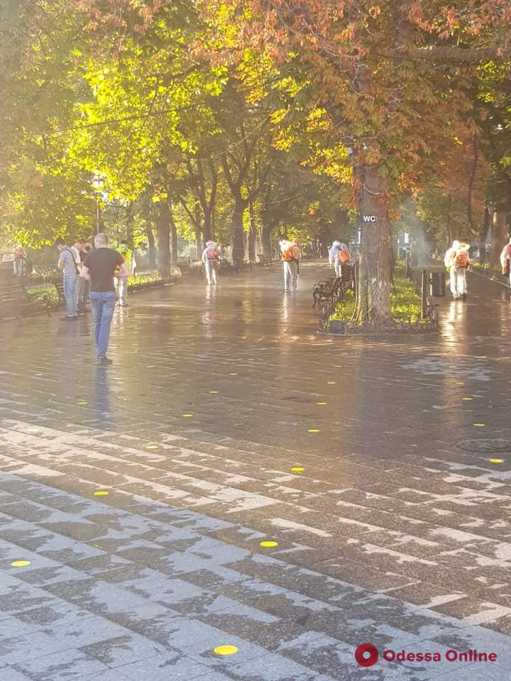 Ранним утром коммунальщики провели масштабную дезинфекцию центра Одессы (фото)
