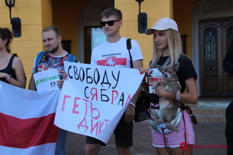 Возле Дюка прошла очередная акция в поддержку участников протестов в Беларуси (фото)