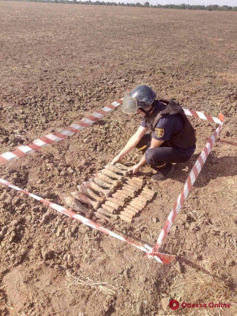 Житель Одесской области нашел в поле 35 боеприпасов (фото)