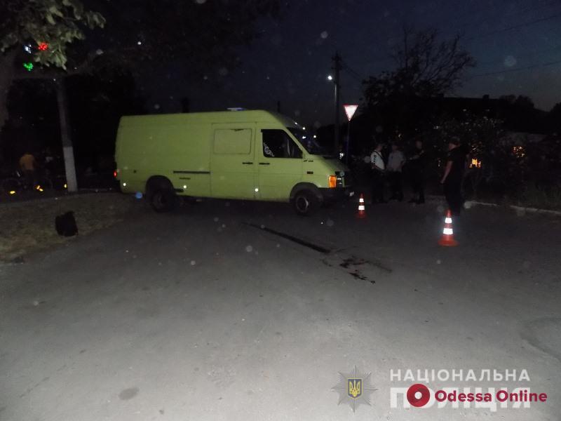 В Одесской области сбили пешехода