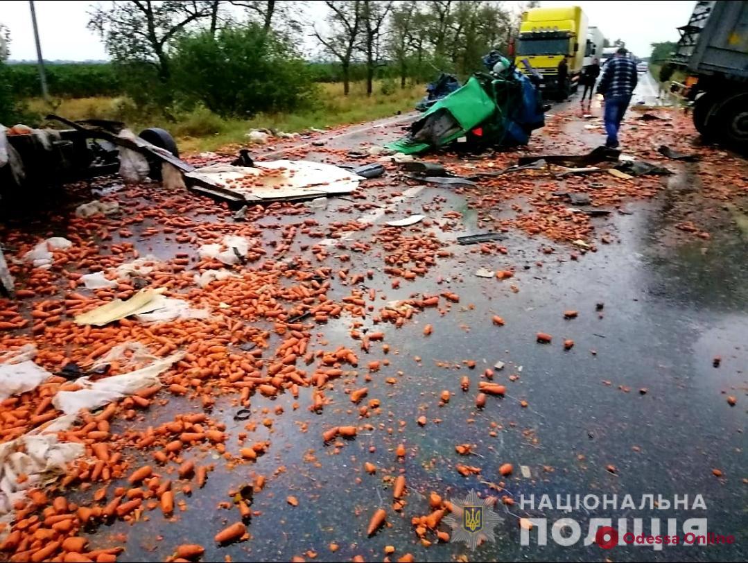 На трассе Одесса—Николаев ночью столкнулись два грузовика – оба водителя погибли