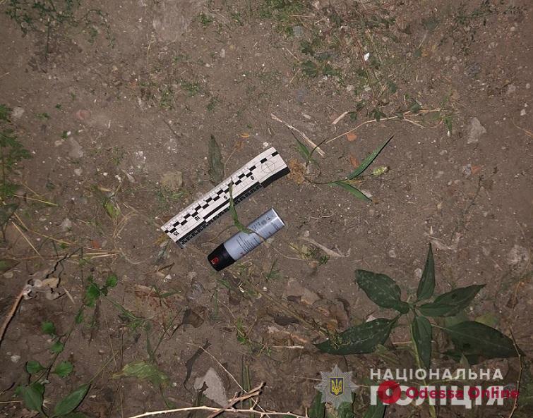 Пьяный житель Черноморска брызнул из газового баллончика в полицейских