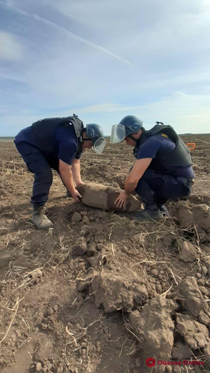 В Одесской области уничтожили стокилограммовую авиабомбу